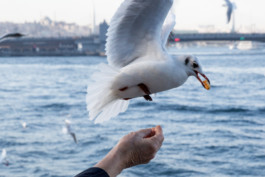 WernerHaug_photographys